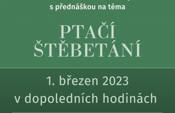 Beseda v knihovně